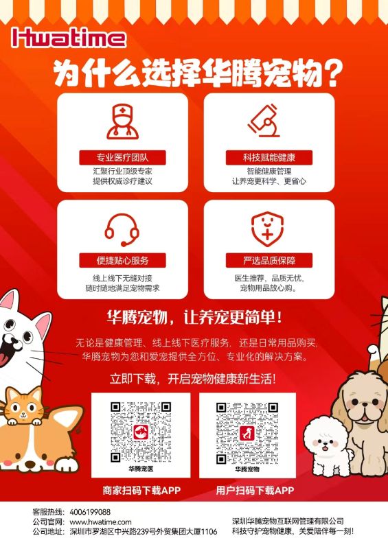 为什么选择k1体育宠物？