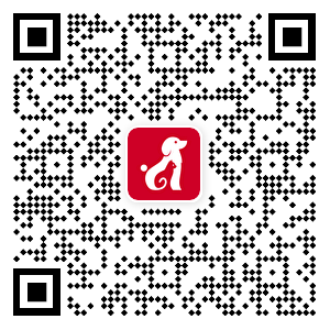 K1体育-十年品牌 值得信任